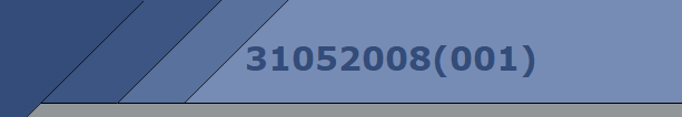 31052008(001)