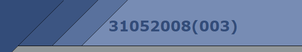 31052008(003)