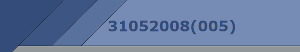31052008(005)